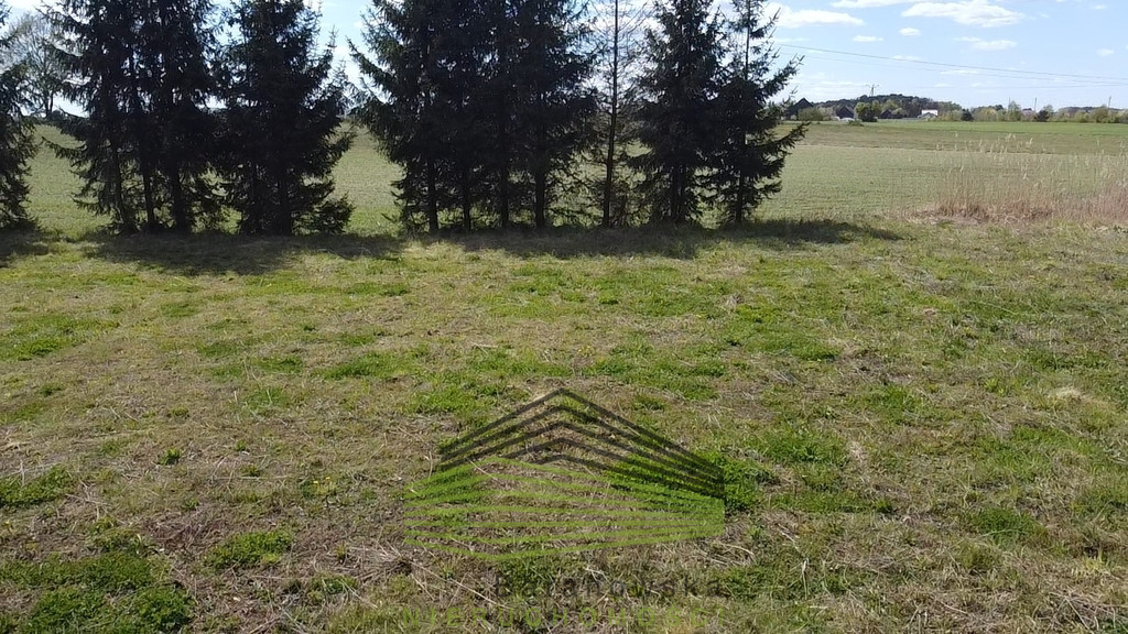 Działka Sprzedaż Kłodawa