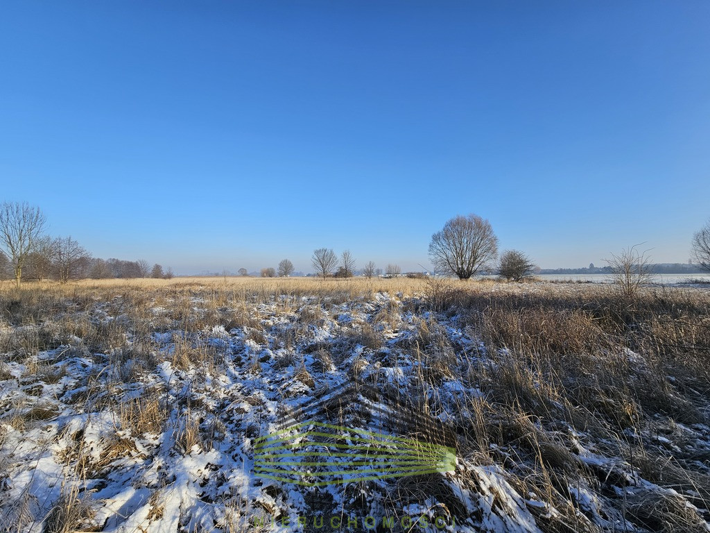 Działka Sprzedaż Ulim Rolna
