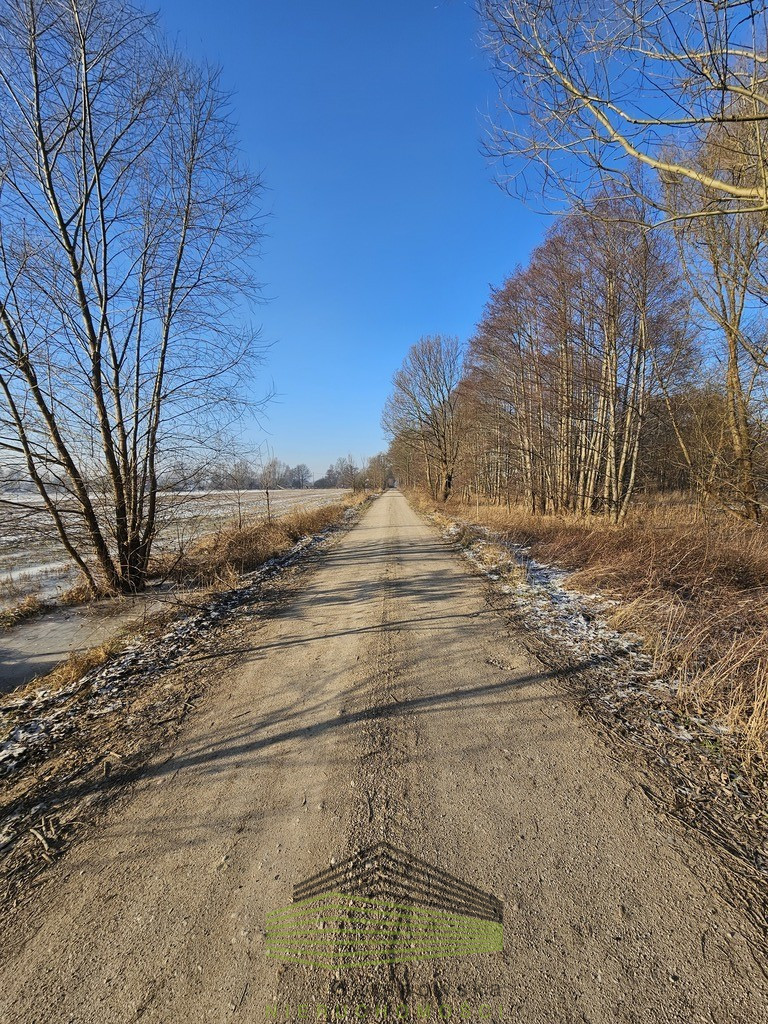Działka Sprzedaż Ulim Rolna
