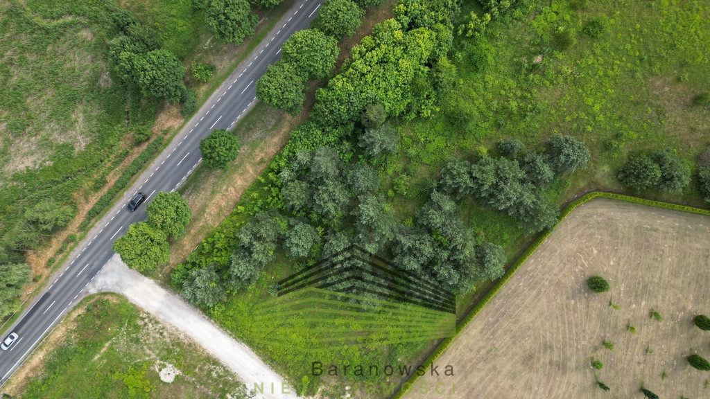 Działka Sprzedaż Różanki