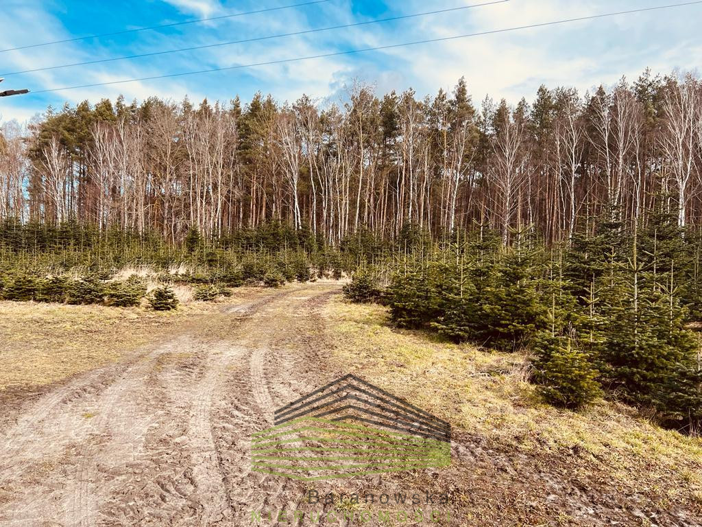 Działka Sprzedaż Tarnów