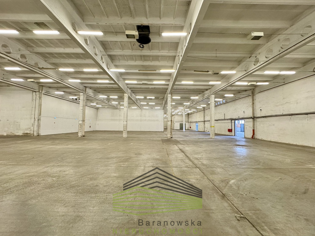 Obiekt Wynajem Gorzów Wielkopolski 6