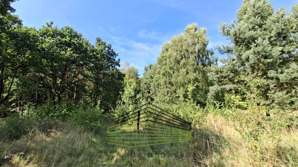 Działka Sprzedaż Bogdaniec