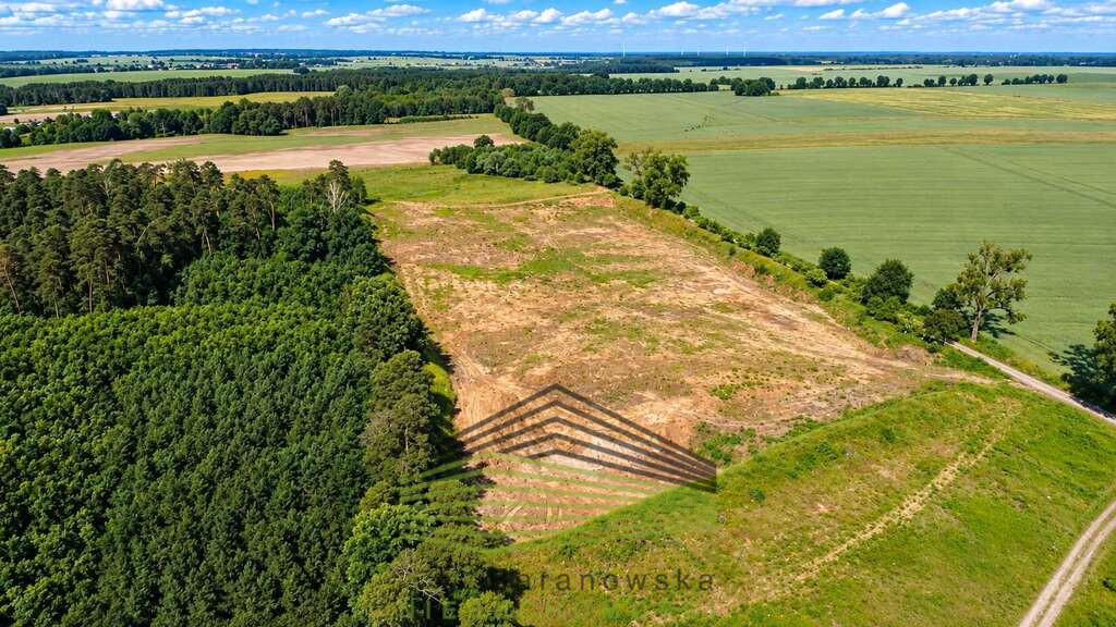 Działka Sprzedaż Baczyna-Kolonia 8