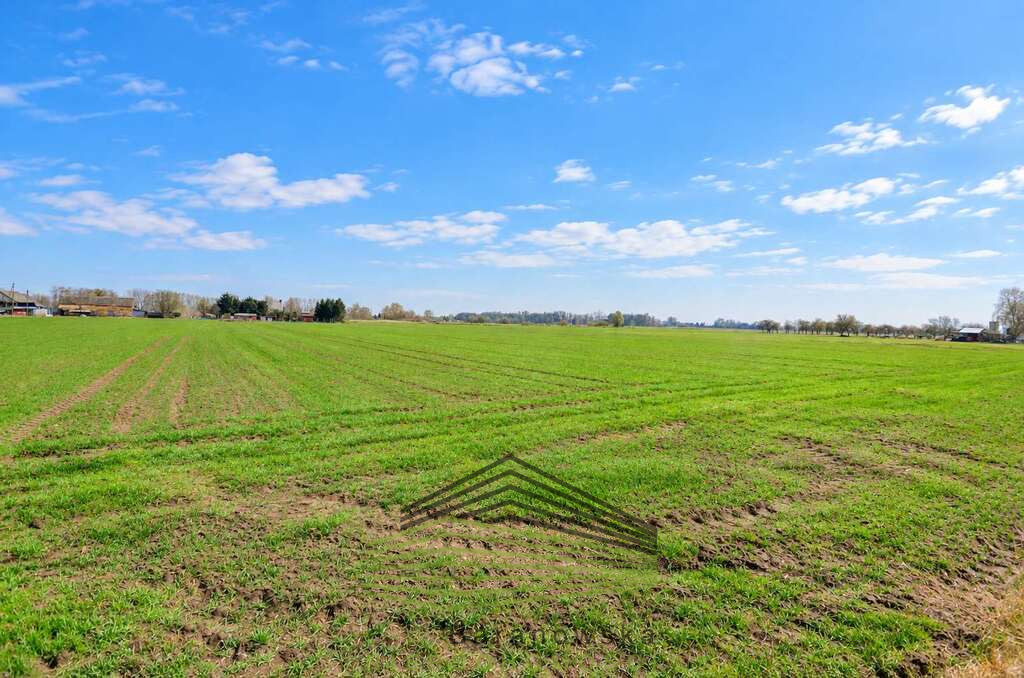 Działka Sprzedaż Gorzów Wielkopolski Zakanale