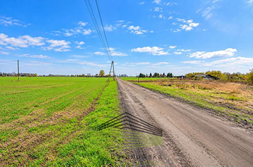 Działka Sprzedaż Gorzów Wielkopolski Zakanale 7