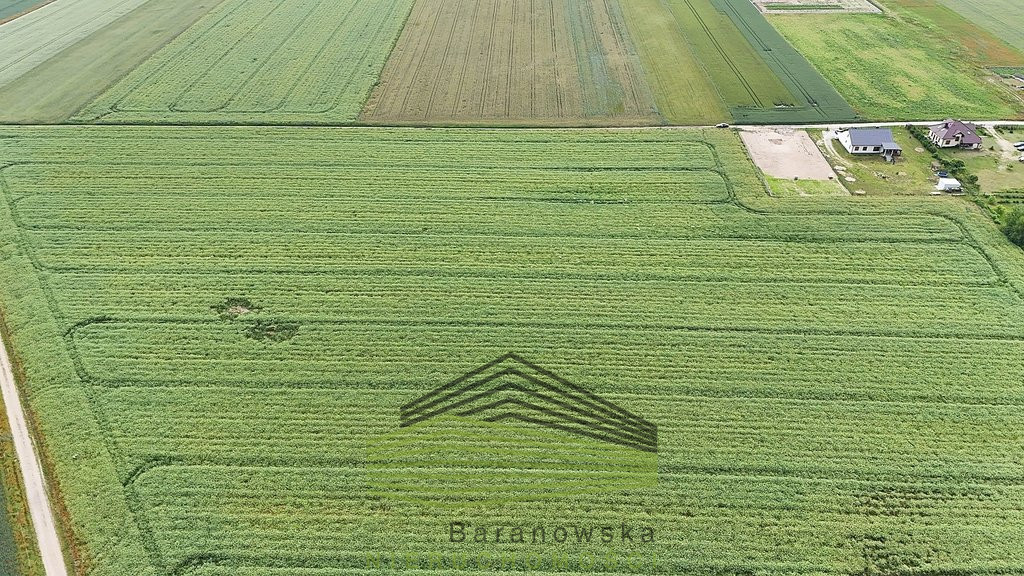 Działka Sprzedaż Gralewo 4