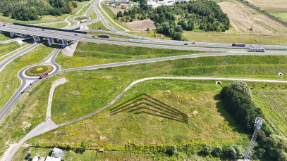 Działka Wynajem Gorzów Wielkopolski