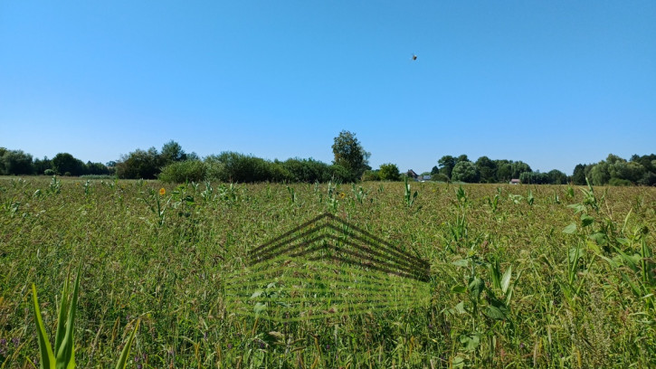 Działka Sprzedaż Włostów 2