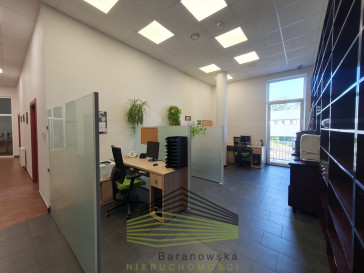 Lokal Sprzedaż Gorzów Wielkopolski