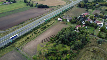 Dom Sprzedaż Gorzów Wielkopolski Zakanale Podgórna