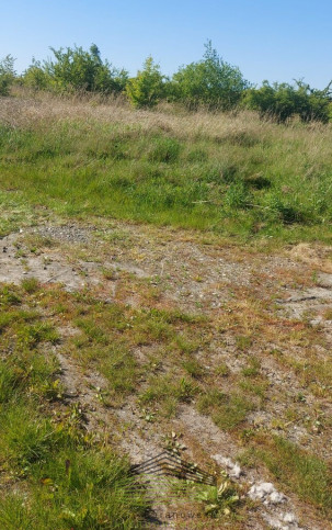 Działka Sprzedaż Kłodawa 6