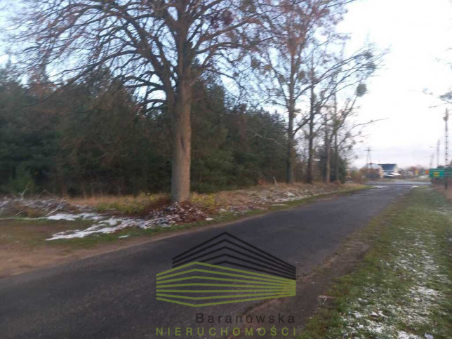 Działka Sprzedaż Trzcinna 8