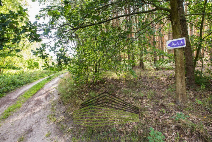 Działka Sprzedaż Dąbrowa 5