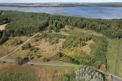 Działka Sprzedaż Dąbrowa