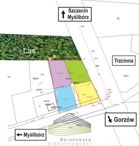 Działka Sprzedaż Trzcinna 1