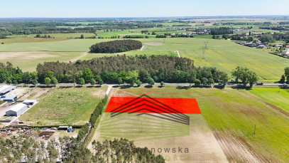Działka Sprzedaż Kłodawa