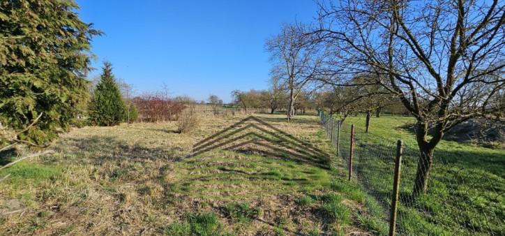 Dom Sprzedaż Kierzków 5