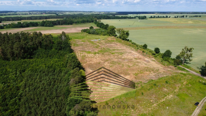 Działka Sprzedaż Baczyna-Kolonia 8