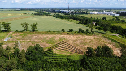 Działka Sprzedaż Baczyna-Kolonia