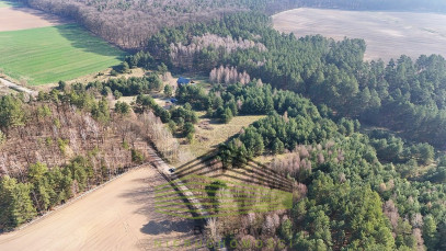 Działka Sprzedaż Nowe Dzieduszyce