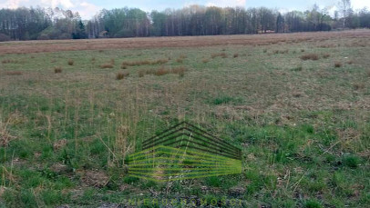 Działka Sprzedaż Rogi