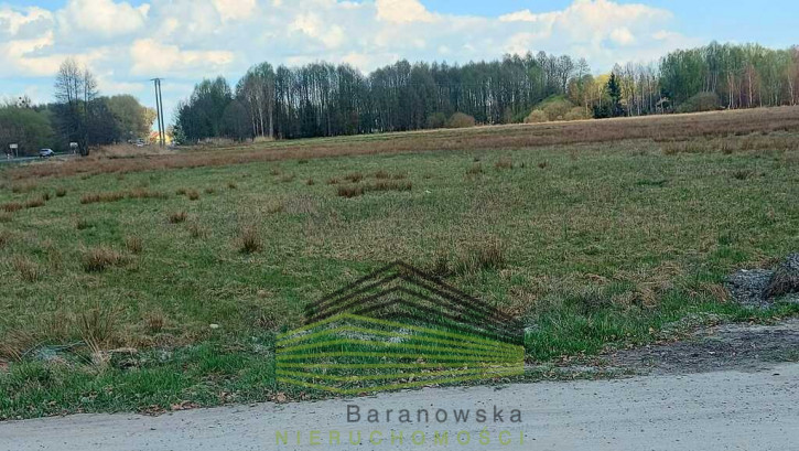 Działka Sprzedaż Rogi 1