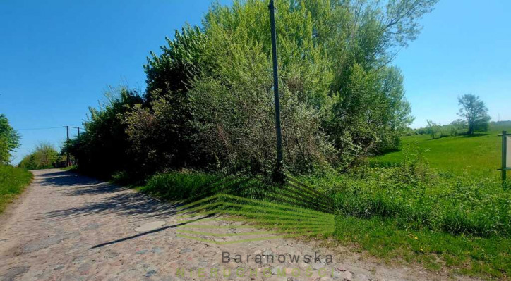 Działka Sprzedaż Bogdaniec 2