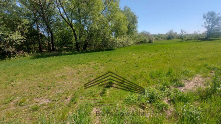 Działka Sprzedaż Bogdaniec 6