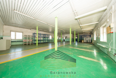 Obiekt Wynajem Gorzów Wielkopolski Śródmieście Kosynierów Gdyńskich
