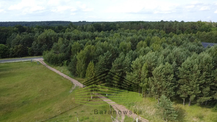 Działka Sprzedaż Danków 7