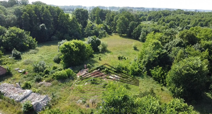 Działka Sprzedaż Swadzim 7