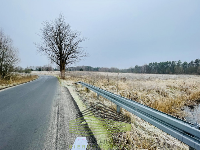 Działka Sprzedaż Dąbrowa 10