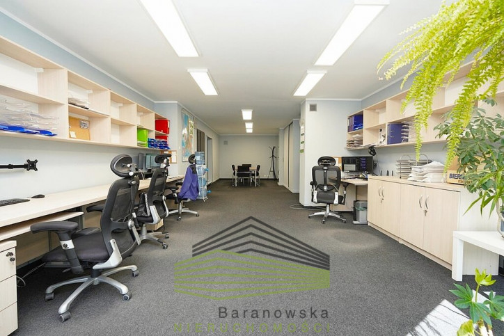 Lokal Sprzedaż Gorzów Wielkopolski Centrum 7