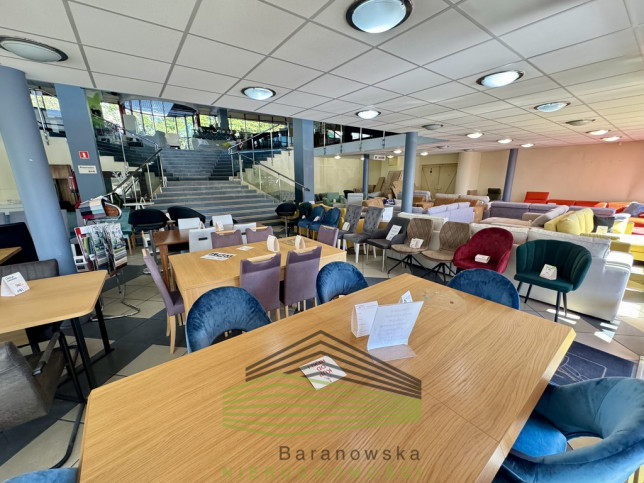 Lokal Wynajem Gorzów Wielkopolski Centrum 12
