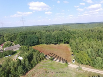 Działka Sprzedaż Kozin