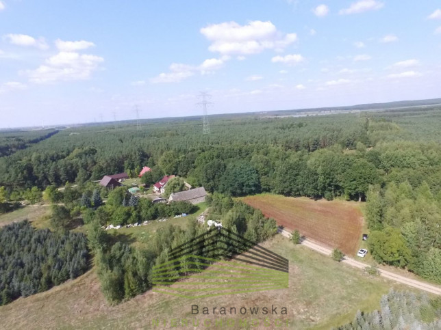 Działka Sprzedaż Kozin 4