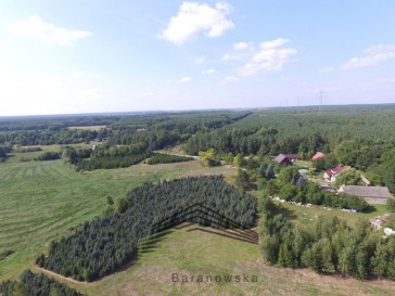 Działka Sprzedaż Kozin