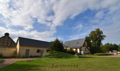 Dom Sprzedaż Ściechówek