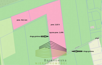 Działka Sprzedaż Skwierzyna Międzyrzecka