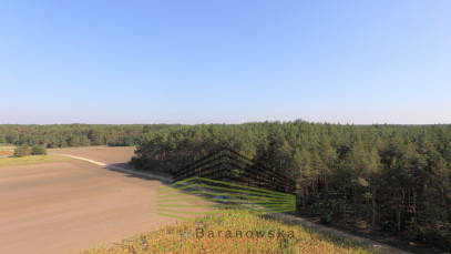 Działka Sprzedaż Dziersławice