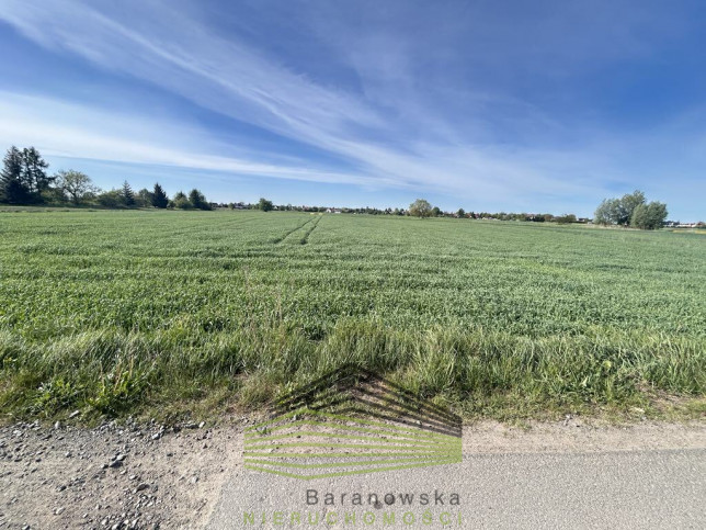 Działka Sprzedaż Gorzów Wielkopolski Siedlice Skrajna 2