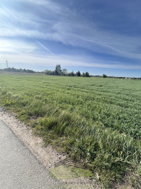 Działka Sprzedaż Gorzów Wielkopolski Siedlice Skrajna