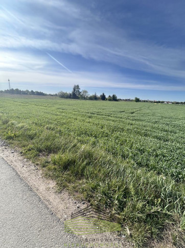 Działka Sprzedaż Gorzów Wielkopolski Siedlice Skrajna 3