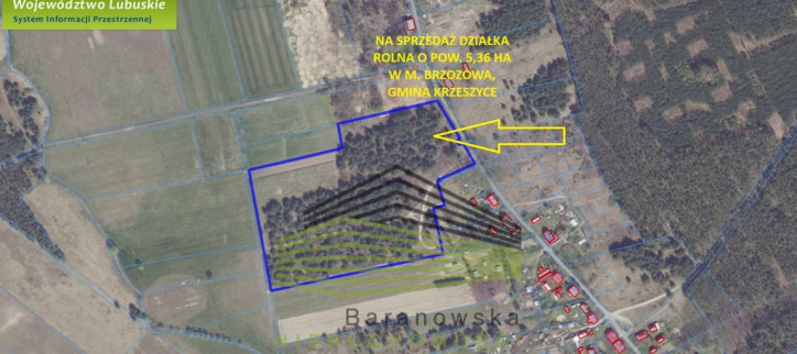Działka Sprzedaż Brzozowa 1