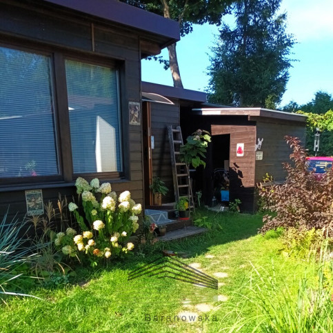 Dom Sprzedaż Sosny 2