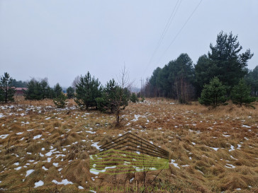 Działka Sprzedaż Łośno