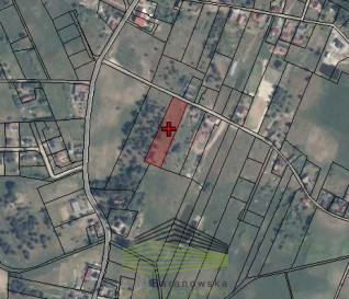 Działka Sprzedaż Łośno