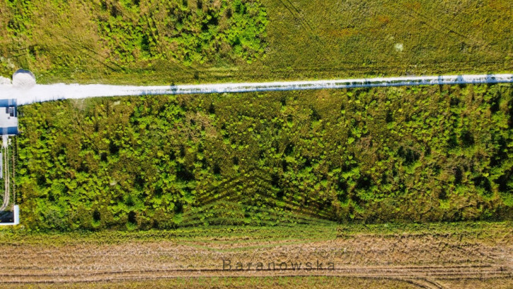 Działka Sprzedaż Kłodawa 12