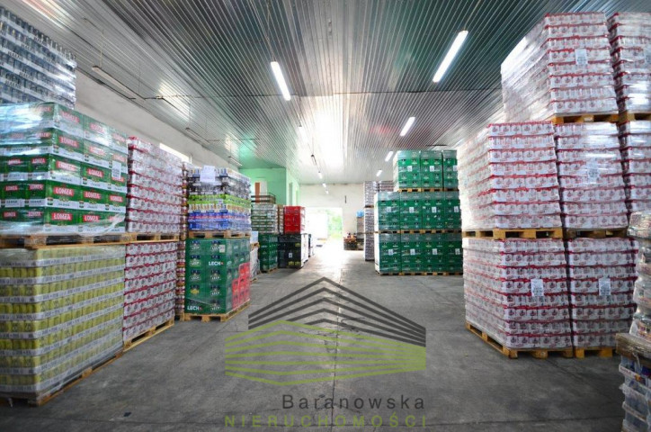 Obiekt Wynajem Gorzów Wielkopolski 1